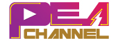 Streaming Logo